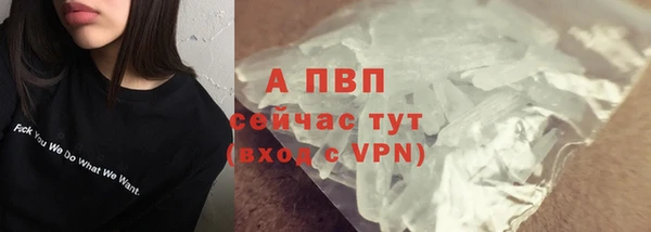 шишки Беслан