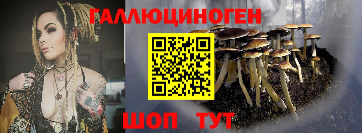 Псилоцибиновые грибы мицелий Большой Камень